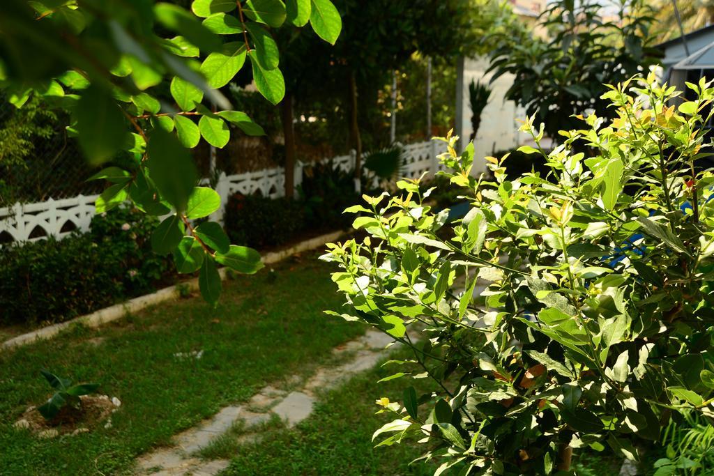 Pinar Hotel Alanya Exterior foto